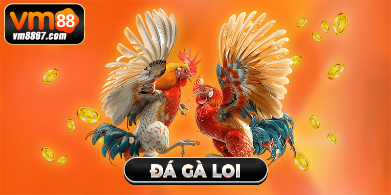 Trải Nghiệm Cá Cược Đá Gà Loi Săn Thưởng Khủng Cùng Vm88 2 Trải Nghiệm Cá Cược Đá Gà Loi Săn Thưởng Khủng Cùng Vm88