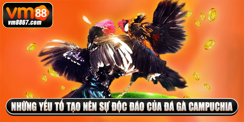 Đá Gà Campuchia Vm88 - Đấu Trường Đẳng Cấp, Hợp Pháp 2 Những yếu tố tạo nên sự độc đáo của đá gà Campuchia